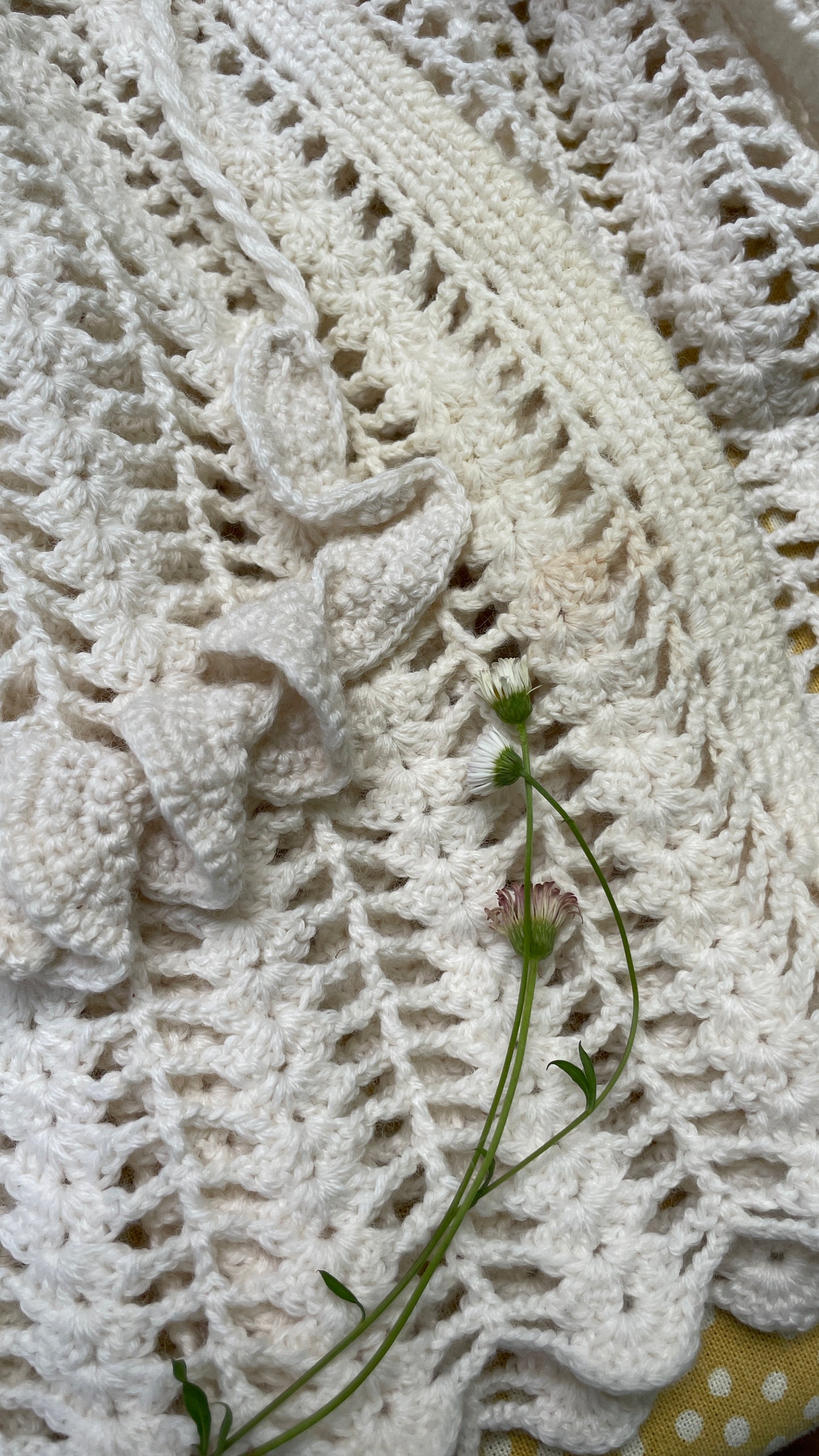 Crochet Capelette