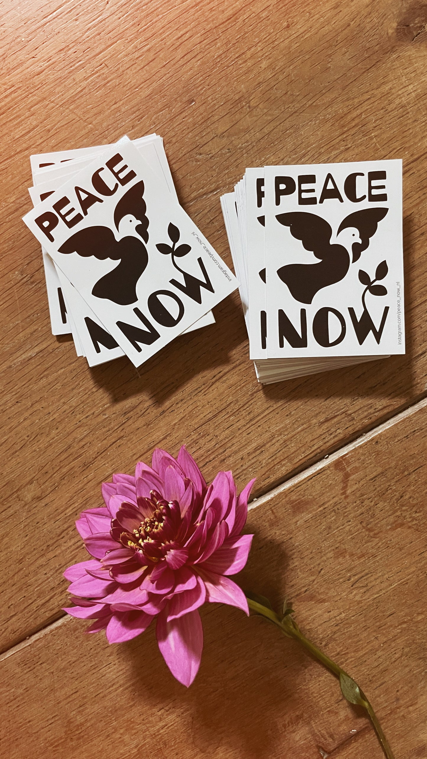 Peace Now Prints