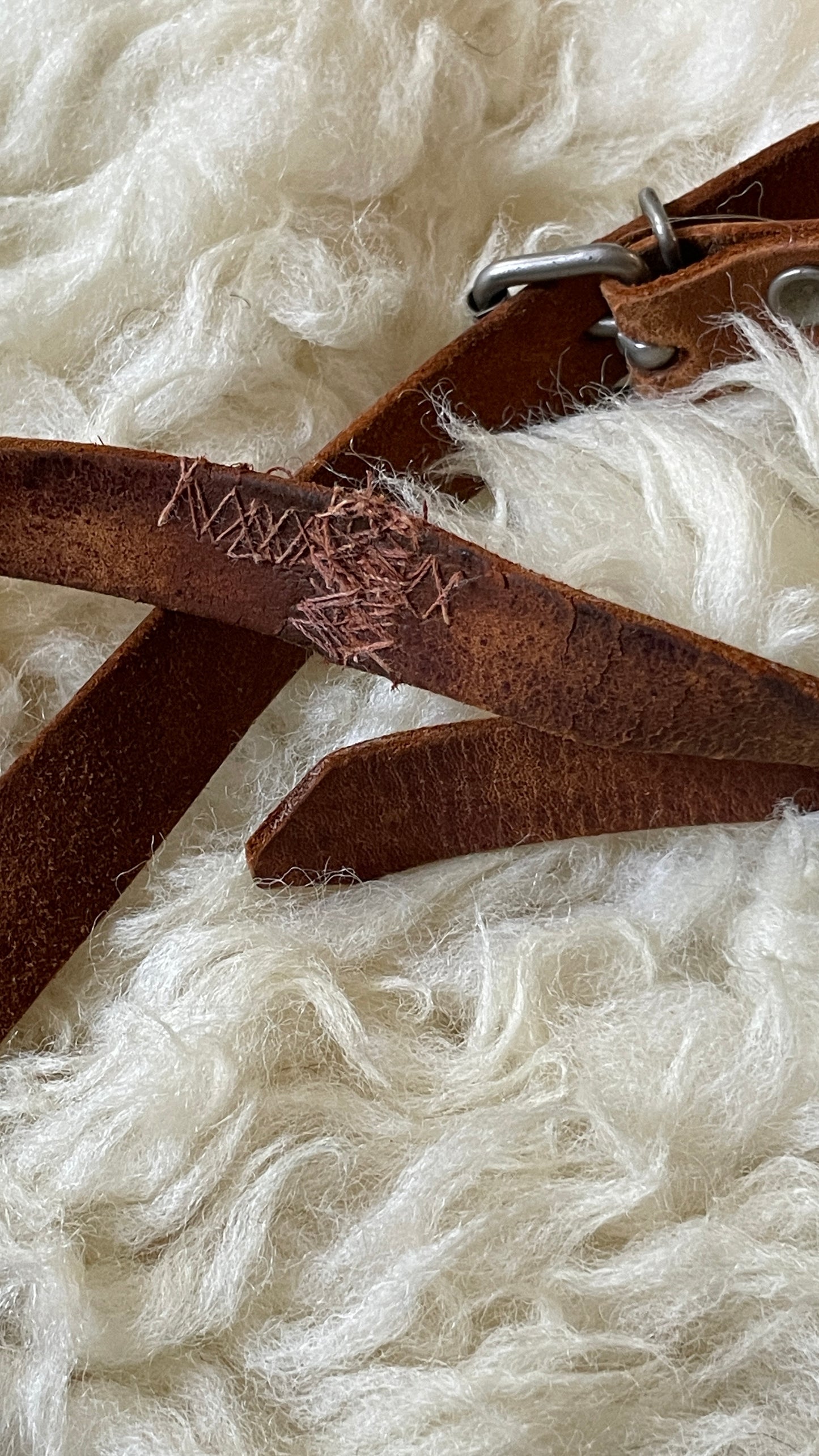 Classic Leather Purse