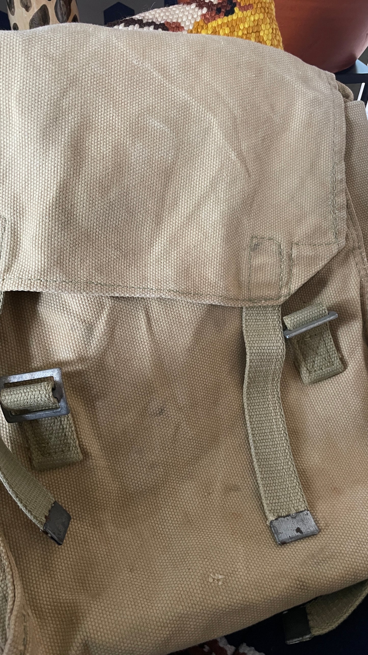 Adventurous Backpack