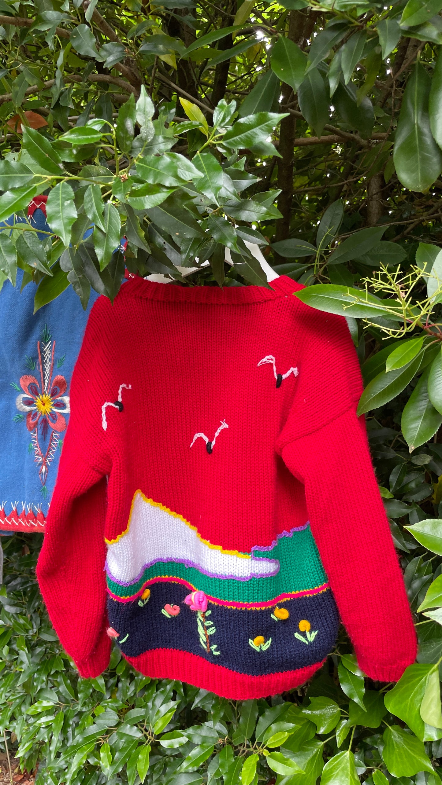 Peruvian Cardigan