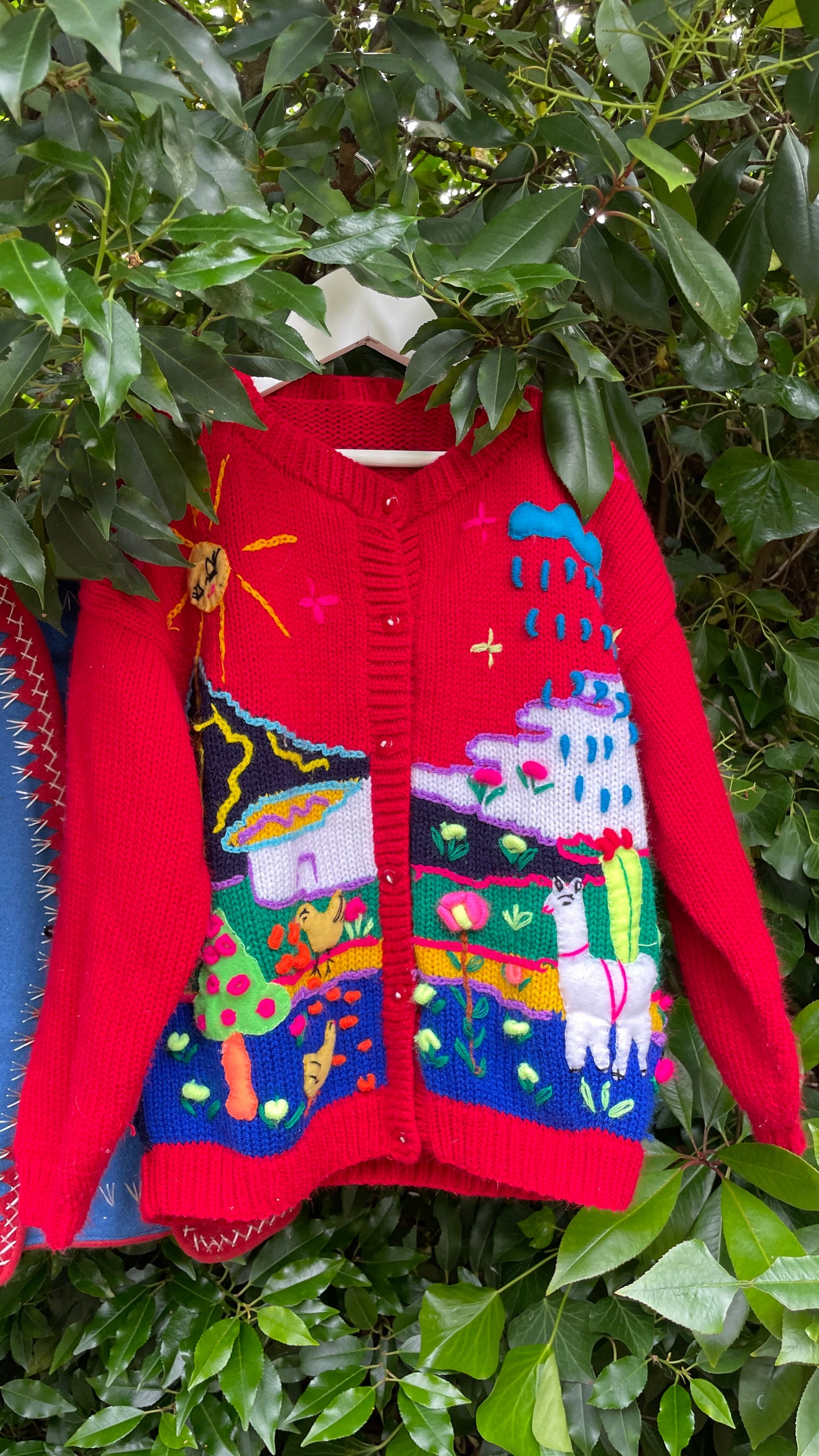 Peruvian Cardigan