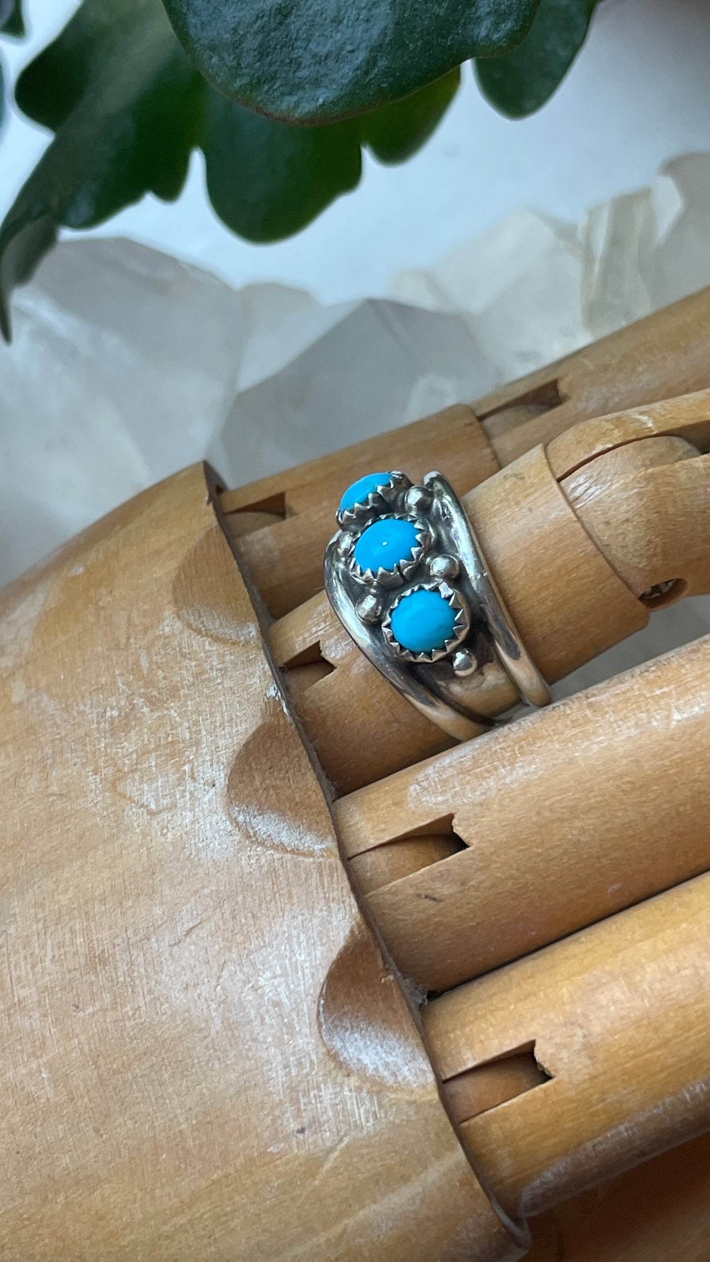 Silver & Turquoise Ring