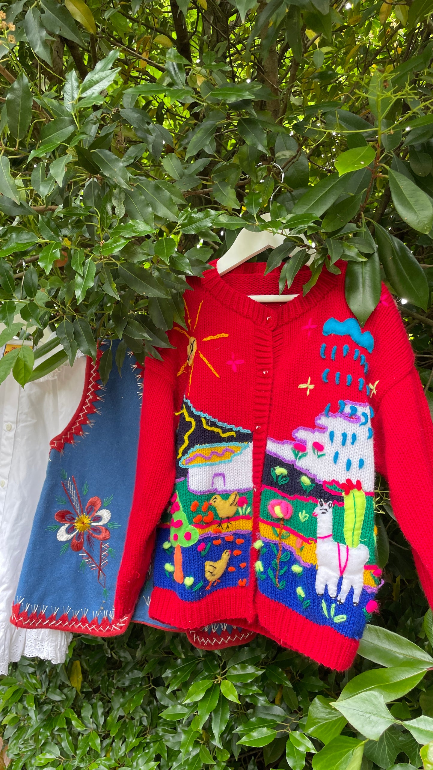 Peruvian Cardigan