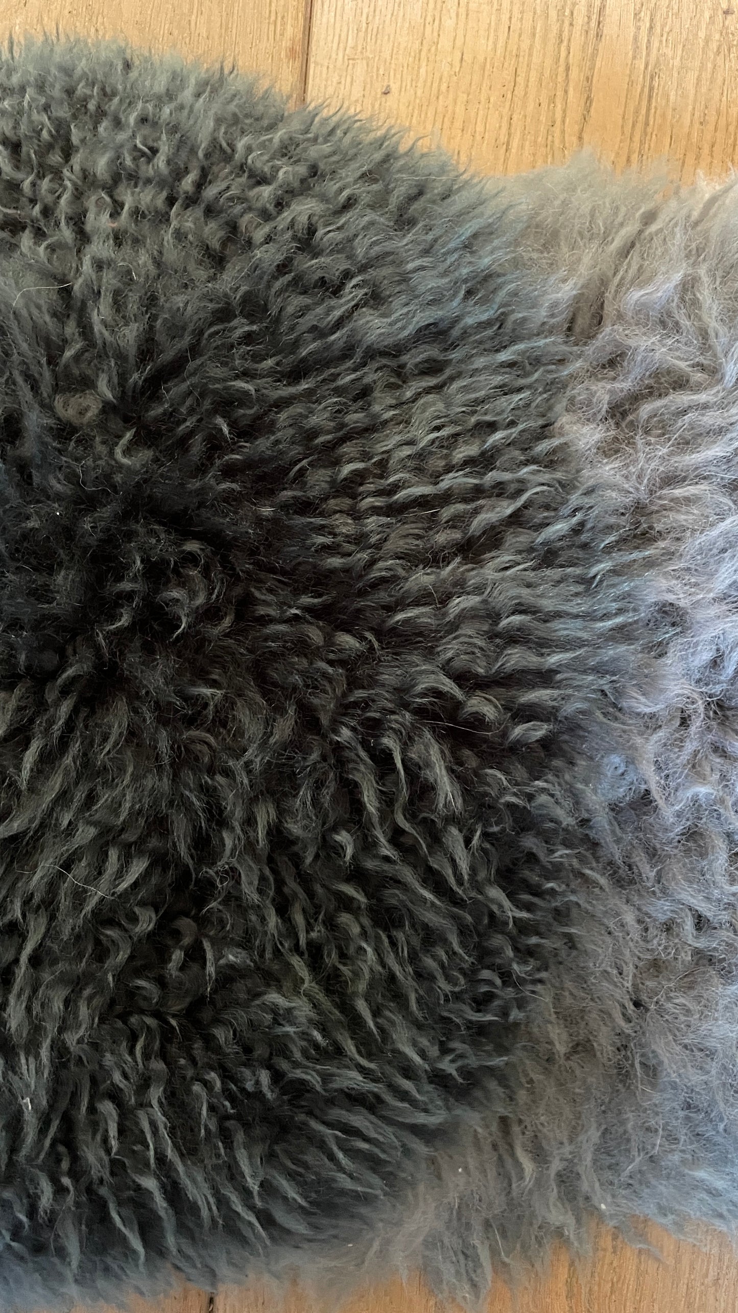 Reworked ~ Made to Order Collar