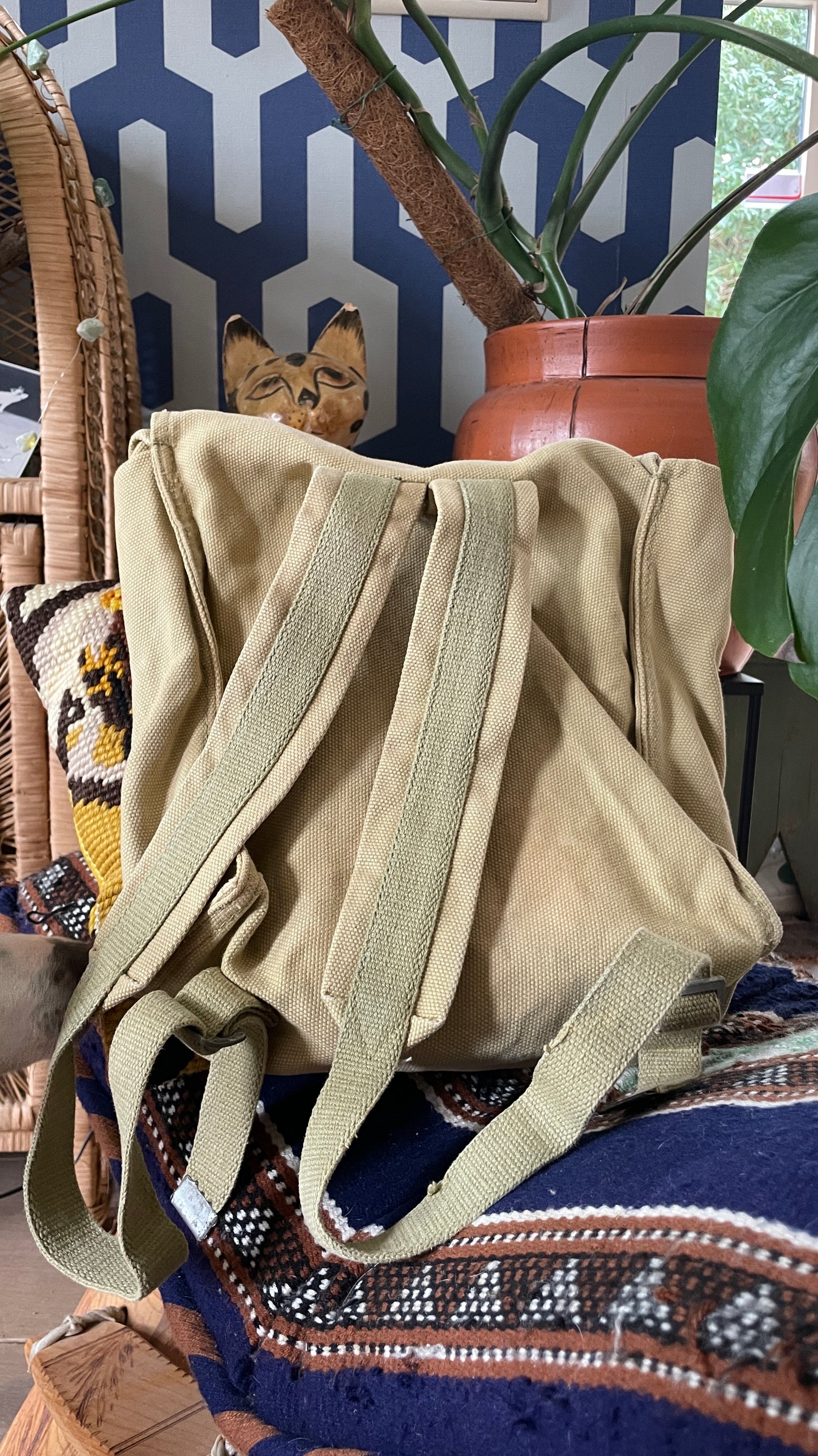 Adventurous Backpack