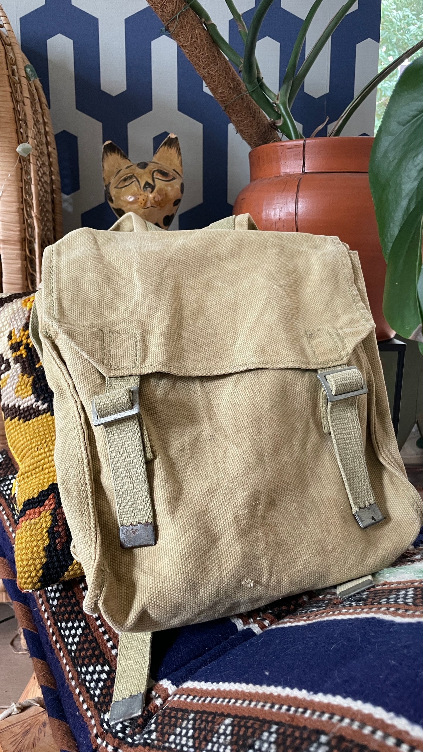 Adventurous Backpack