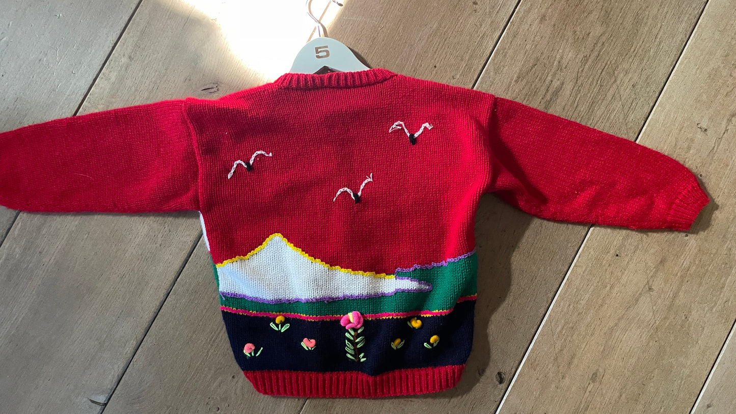 Peruvian Cardigan