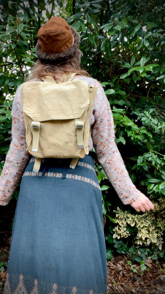 Adventurous Backpack